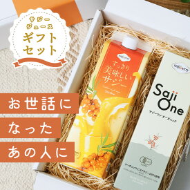 サジージュース ギフトセット 2本入り サジー SajiOneオーガニック 300ml すっきり美味しいサジー 1000ml 鉄分 美容 健康 栄養補給 無添加 お試し ストレート オレンジ ゆず シーベリー 沙棘 サジーワン プレゼント 贈り物 お祝 お礼 敬老の日 母の日ギフト 敬老の日ギフト