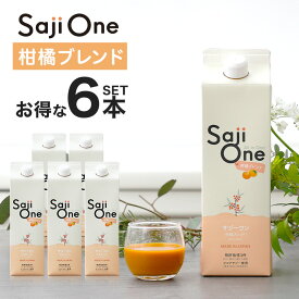 サジー サジージュース 柑橘ブレンド 1000ml×6本セット SajiOne サジーワン 希釈タイプ 1ヶ月分 鉄分 ジュース ドリンク 妊婦 子供 葉酸 ビタミン 美容 ゆず オレンジ シーベリー アミノ酸 無添加 オーガニック 豊潤