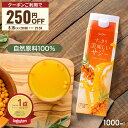 【8/18限定 クーポン配布＆エントリーで最大P4倍】サジー すっきり美味しいサジー 1000ml SajiOne 鉄分 飲みやすい ジ…