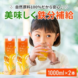 すっきり美味しいサジー 1000ml 2本セット 飲みやすいサジージュース 鉄分補給 SajiOne アミノ酸 リンゴ酸 ミネラル ドリンク ゆず オレンジ シーベリー 紙パック 沙棘 サジーワン