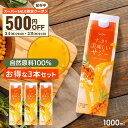 【スーパーSALE限定 500円OFFクーポン配布】サジー すっきり美味しいサジー 1000ml 3本セット SajiOne 鉄分 飲みやす…