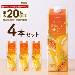 yPobNՌN[|zzzTW[ TW[ 1000ml 4{Zbg SajiOne S ݂₷ W[X hN Dw q A~m_ t_ r^~ 䂸 IW V[x[ 