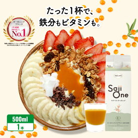 サジーボウル SajiOne サジーワン 500ml サジージュース ピューレ 砂糖不使用 食物繊維 グラノーラ ポリフェノール ヨーグルト バナナ 置き換え ダイエット オーガニック スーパーフード 鉄分 ビタミン フルーツジュース