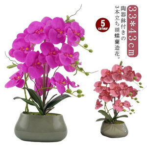 Ӓ G} j 픫 p[v 3{  z  v[g A[gt[  JX J@j AC Vzj h] hV̓ { {݂ Ӓ Ce