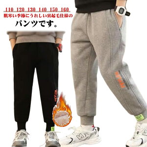 WK[pc ɒg LbY ۉ [EFA N  pc g qǂ j̎q H~ hpc 160 XEFbgpc pc N pc gp ʉ ʊw C[W