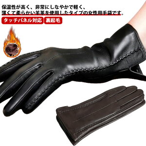 v fB[X N Ԃ 傫TCY 5{w h ^b`plΉ h {v U[ g 킢 ʋ Vv  O[u X}z ^ubg Ή h ʊw ig 