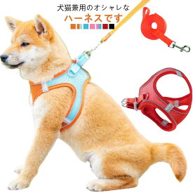 小型犬 ハーネス 犬 おしゃれ 大型犬 リード ウェアハーネス 中型犬 ペット ソフトハーネス おしゃれ ハーネスリード 胴輪 イヌ ネコ マジックテープ ハーネスリードセット リード付き キャット 抜けない キャット 散歩 お出かけ 簡単装着 猫