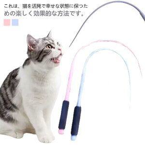 Lp ނ ˂݂ L炵 lY~̌` ^s ybĝ VRf ybgpi ₵ L̂ ނ XgX LV Lp ˂ߋ L