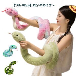 wr 2025 _炩  ʂ A ʂ 180cm x wr̂ x N u n   NbV N N l q Q ւ CeA X 
