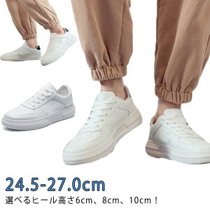 Xj[J[ V[NbgV[Y V[NbgV[Y JWA 6cmAbv 8cmAbv V[NbgXj[J[  10cm Y Xj[J[ ~hJbg V[Y V[NbgV[Y z