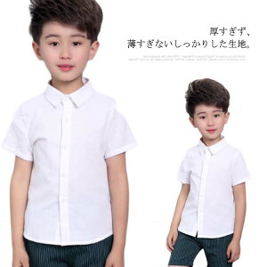 yzq tH[} Vc  CVc n Vc   LbYtH[} tH[}Vc LbY j̎q q {^Vc {[CY w  \ LO