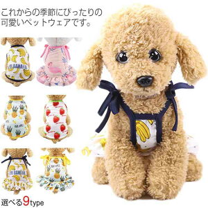  ėp N[  hbOEFA  t[c ][g ybgpi ^ ^ ^Ngbv s[X o U