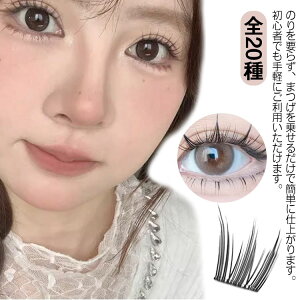 ܂ {̂̂t ڒܕsv S20 2_Zbg ̂t ܂ ̂sv ̂t܂   ܂ p S20 i`܂ EȒP i`CN 