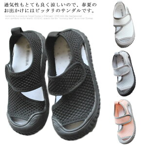 LbY xr[ C bV T_ }WbNe[v Ԃ qC ǂ ̎q j̎q tbg ؂ oYj   _炩