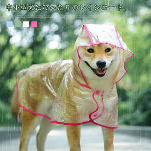 p ^ CEGA NA J AEghA pCR[g pCEGA