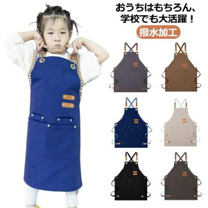 Gv j̎q |Pbgt LbYGv ̎q j̎q LbY ǂGv O 킢 k w  Vv H h~ n ǂGv wZs 