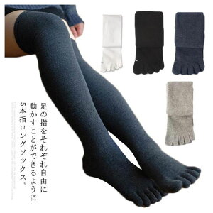  ܖ{w\bNX fB[X C O\bNX 5{w Lk ₦ jbg\bNX C p n r Vv  i g  H~