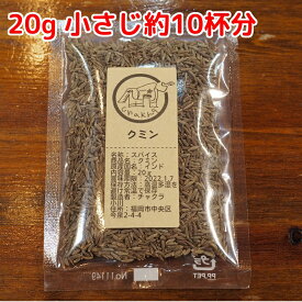 スパイス 小袋 使い切り クミンホール 20g