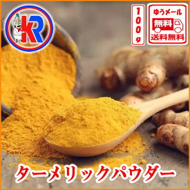 ターメリックパウダー (Turmeric Powder)（100g）、スパイス、インド料理