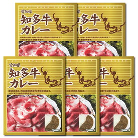 愛知県 知多牛カレー 200g（1人前）×5食まとめ買いセット ご当地カレー