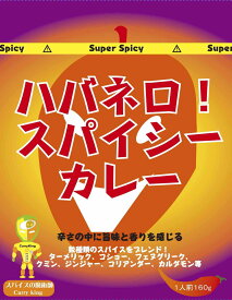 【ポスト投函送料無料】ハバネロスパイシーカレー　200g