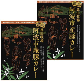 【ポスト投函送料無料】徳島 ご当地カレー 原田牧場 阿波市産豚カレー 200g×2食お試しセット