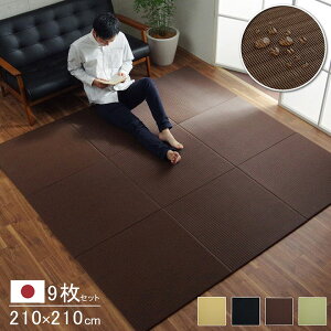 ���{�� ���@���ł��� �|���v���s���� �u���� ���j�b�g�� �V���v�� ��70×70cm 9P �i���F9���g�j