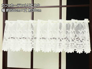 JtFJ[e gGX^ ~j {[()[X̃JtFJ[e vƑϐ󐫂̃|GXefނ̃JtFJ[e 150cm 30cm ŝ̓˂_ɒʂĊȒPt 