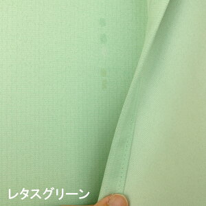 ngڃJ[ey145cm×TCYz1@J[e@Ԏd؂J[e@ς莮@fM@h@ډB@@ߓd@Vv@n@˂_J[e@d؂@J[e