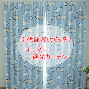 q@I[_[ՌJ[e@2g@ ACN115.118.119y 6ACe育I zTCY~150cm TCY~260cm EHbVu CeA IV ^bZt AWX^[tbNt