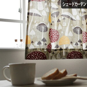 yP20{4000~N[|zzzVF[hJ[e [}VF[h I[_[ A_[X almedahls k CXovXR[Q    킢   Rbg