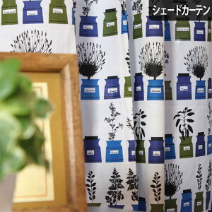 yP20{4000~N[|zzzVF[hJ[e [}VF[h I[_[ A_[X almedahls k y[VY NbhXR[v u[     킢   Rb