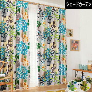 kՌVF[hJ[e t[|bg ԕ 킢  {^jJ x[W O[  