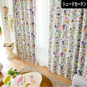 kՌVF[hJ[e t[cg  ʕ 킢  {^jJ O[ O[  