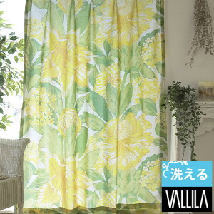 kJ[e VALLILA @ 􂦂 U I[_[J[e kuhJ[e  K[fjA N`iV tBh  킢 o CG[