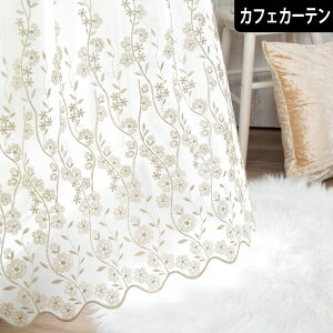 JtFJ[e [XJ[e tFVA gR[X h AC{[ S[h GKg i    ډB