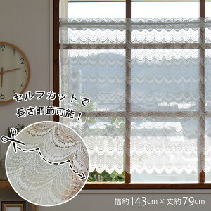 JtFJ[e K[h 143cm 79cm  t[Jbg [   킢 ˂_  [X ډB  􂦂