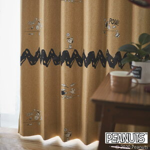 Xk[s[J[e `bNx[X{[ PEANUTS s[ibc ՌJ[e I[_[ SNOOPY 싅 q 킢 `LH X~mG x[W