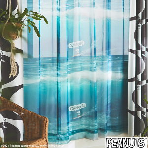 y4000~OFFN[|zzzXk[s[J[e JoKI{C [XJ[e PEANUTS s[ibc I[_[ SNOOPY C T[tB g u₩ } q X~mG u[