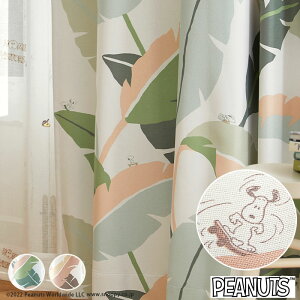 Xk[s[J[e Ch[t PEANUTS s[ibc ՌJ[e I[_[ SNOOPY XP[g{[h [t {^jJ 킢 `LH X~mG O[ sN