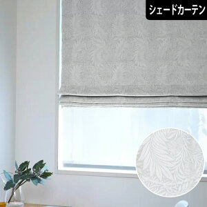 VF[hJ[e [ I[_[ [}VF[h WK[hD O[ zCg NVbN AeB[N t` X OWA[ {^jJ rO   