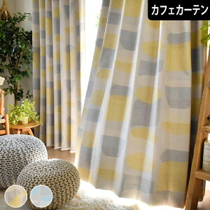 1Ռ JtFJ[e XA I[_[ ꋉՌ  킢 CG[ u[ Be[W k Q rO q