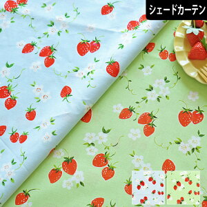 VF[hJ[e x[ u[ O[ I[_[J[e VRf Rbgl ȖMIX AJJg[ K[[ C`S t[c ʕ q VRfރJ[e  