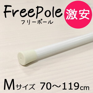 J[e|[ |[ eV|[ t[|[@M@70cm`119cm ς_ ˂_  킢 zCg 