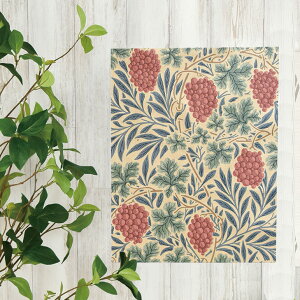 t@ubNpl EBAEX @C 32x41cm  t@ubN{[h EBAX ECAX EH[pl n Mtg v[g Ԃǂ  {^jJ 