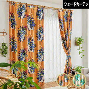 kՌVF[hJ[e nMO ԕ 킢  {^jJ IW x[W  