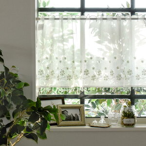 yP20{4000~N[|zzz JtFJ[e `[ 105cm 45cm r[Yg hJ u[ O[ [   킢 ˂_ |[ʂ  [X L