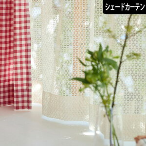 VF[hJ[e R[h[X I[_[J[e ҕ[X ԕ t[ AC{[ [}VF[h J[e