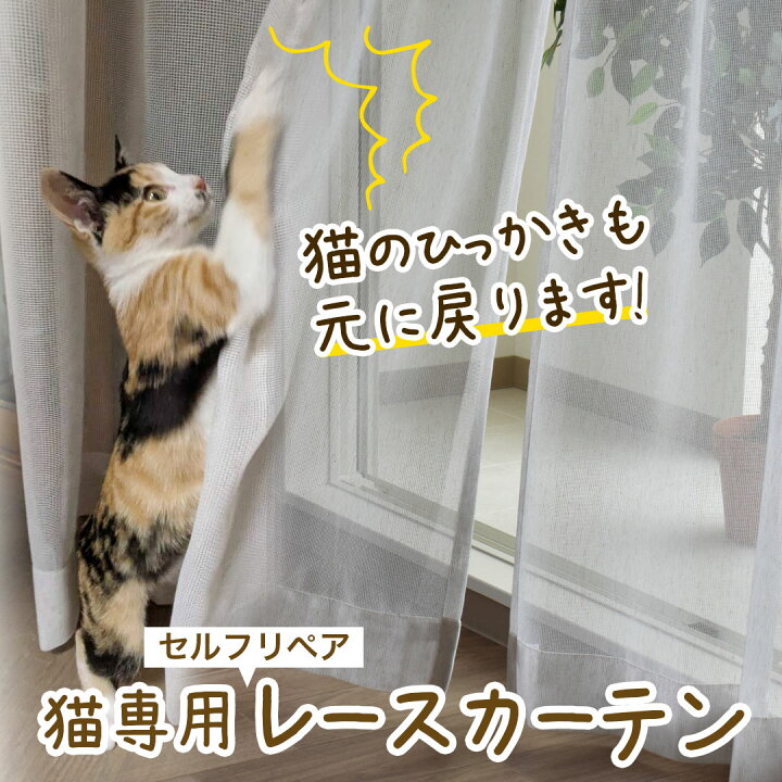 楽天市場】猫用レースカーテン オーダー 猫のひっかき防止 リストア 
