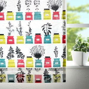 kJ[e A_[X almedahls y[VY NbhXR[v C I[_[J[e kuhJ[e XpCX|bg ϗtA |bvA[g XEF[f  킢